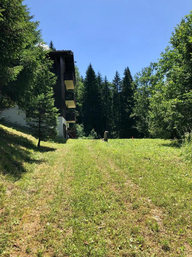 Chalet Riviere Du Bon Nant Location De 6 A 14 Personnes En Haute Savoie Saint-Gervais-les-Bains Exterior photo